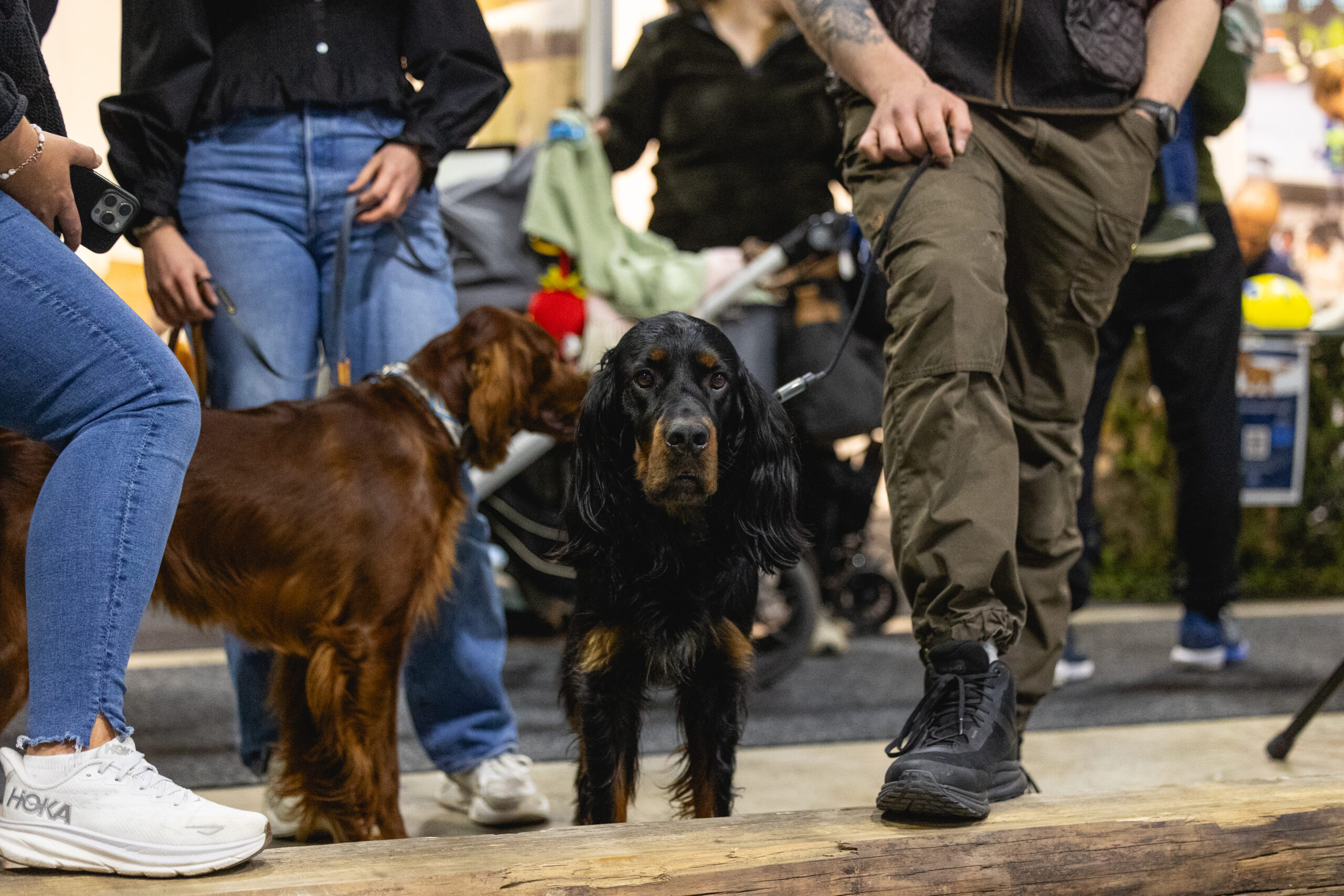 Camp Villmark 2025 (11)